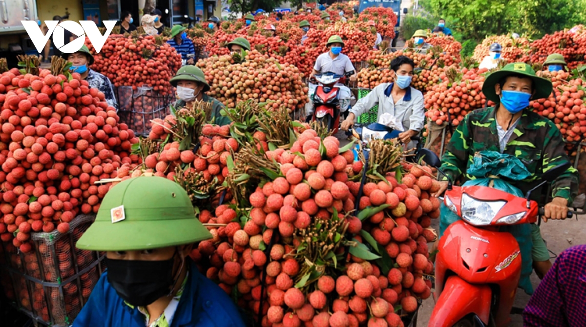 Vietnam – China trade on the road to US$200 billion ambitious goal this year